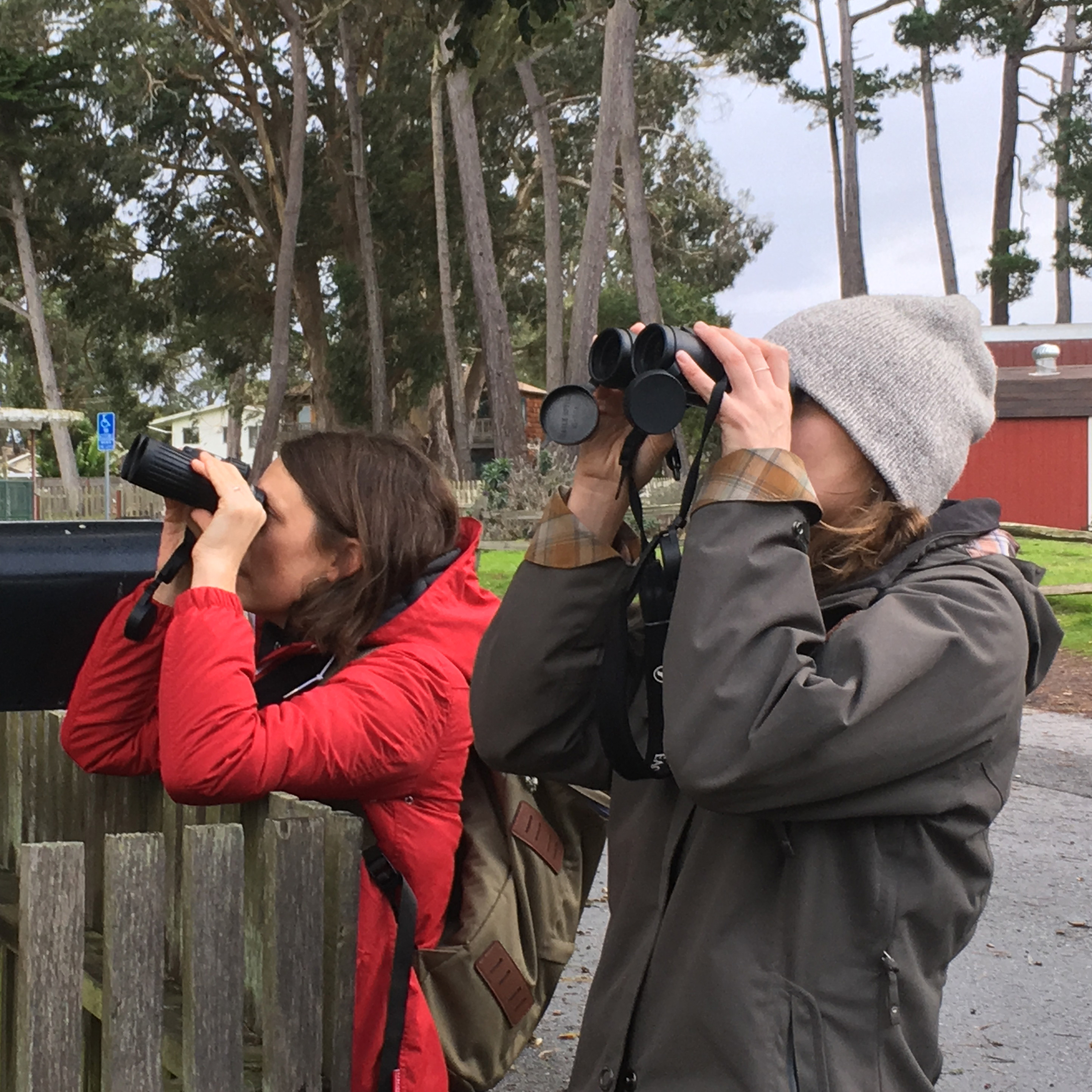 Two women wearing coats, one with a knit hat, are looking through binoculars at monarchs (outside the frame).