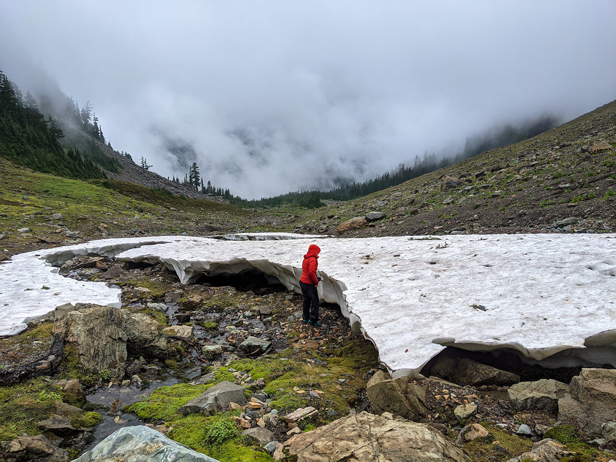 Surrounded my mountains, Emilie Blevins searches the surface of some late season snowpack for adults of the northern forestfly.