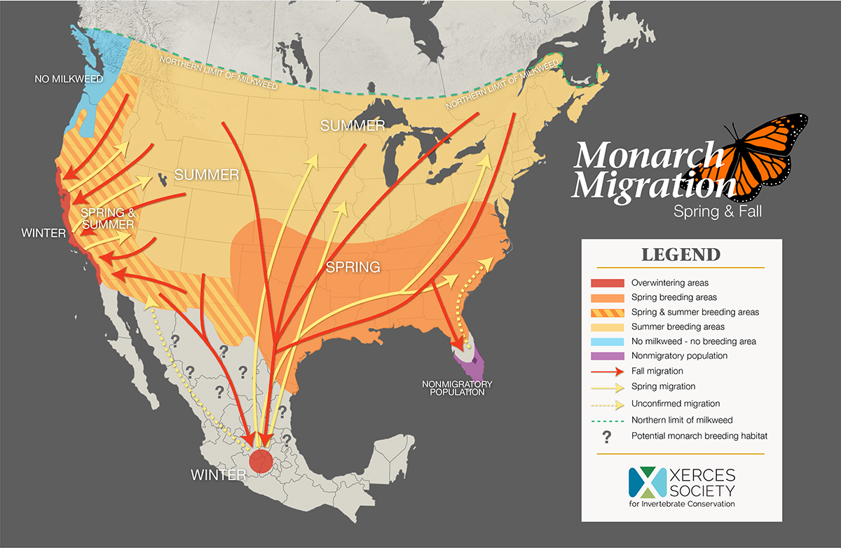 Map of North American monarch migration