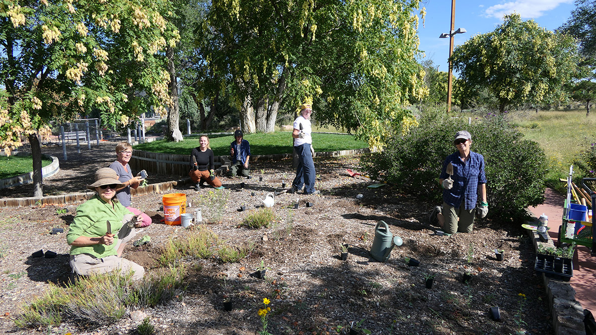 Volunteers with gardening tools working in a park garden 