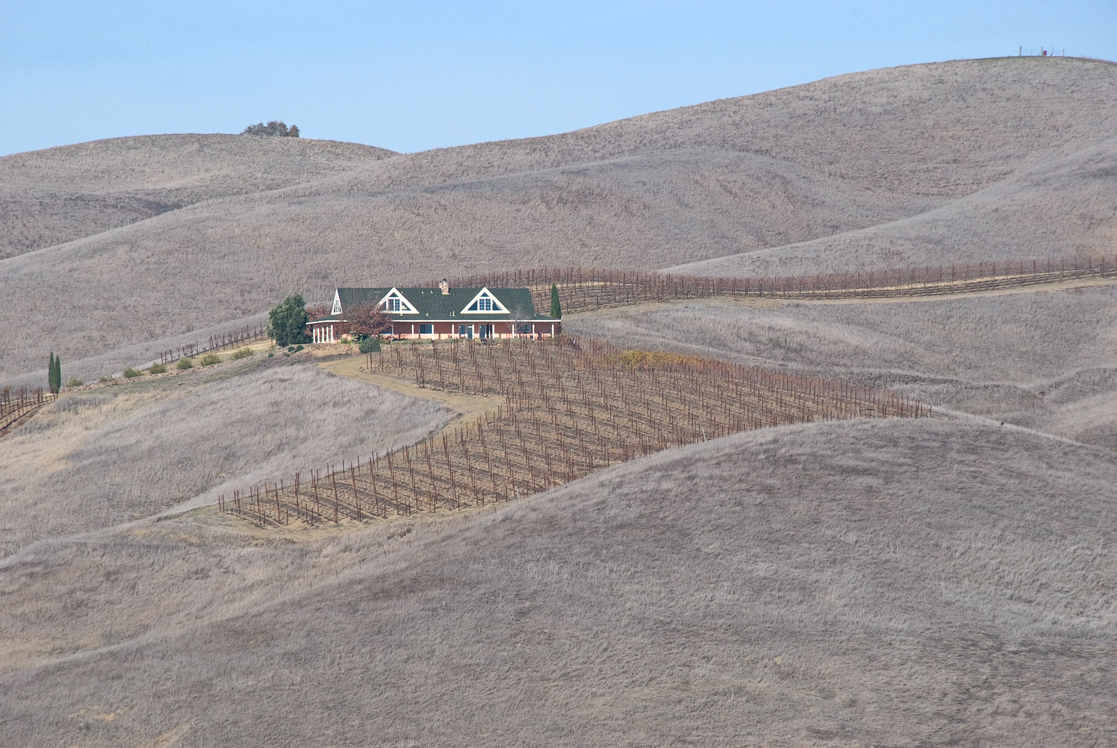 Brown hillside parched by extended drought conditions in California 