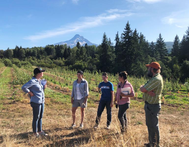 On a sunny day with blue sky, five people stand talking together in the foreground of a beautiful landscape. Behind them is a pear orchard, and beyond is the snow-covered, triangular form of Mt. Hood.
