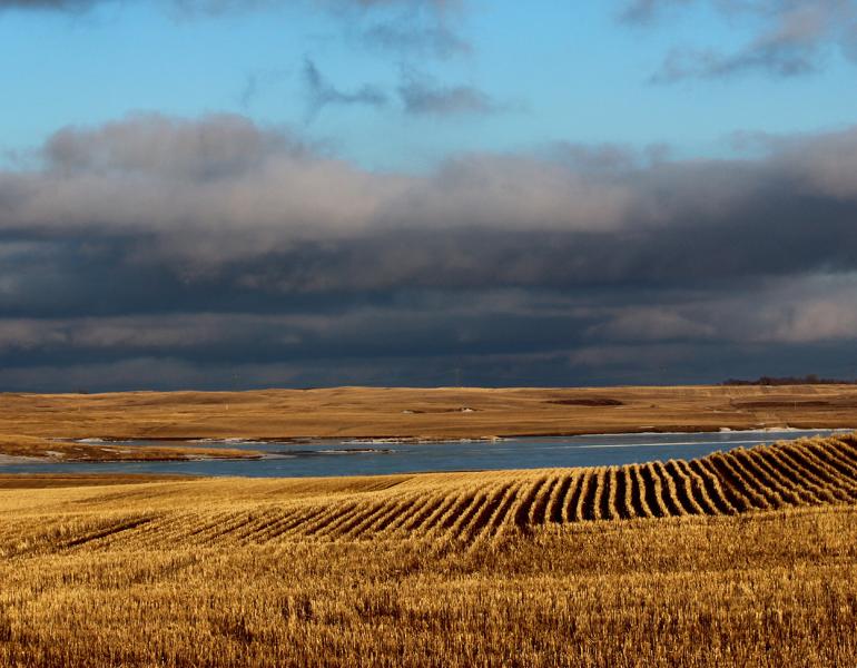A farm landscape showing brown stubble of corn in fields surrounding a wetland pond. The water appears dark blue, reflecting the gray clouds in the blue sky.