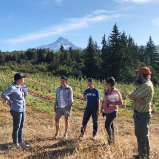 On a sunny day with blue sky, five people stand talking together in the foreground of a beautiful landscape. Behind them is a pear orchard, and beyond is the snow-covered, triangular form of Mt. Hood.