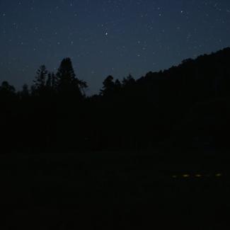 Fireflies flashing in the Nevada night 