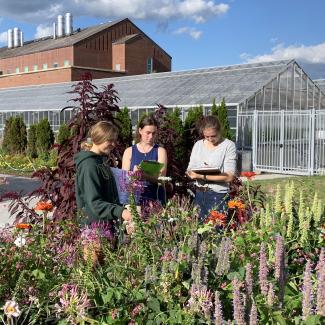 A group of three college students with clipboards watch carefully for bees beside a flower-rich garden.