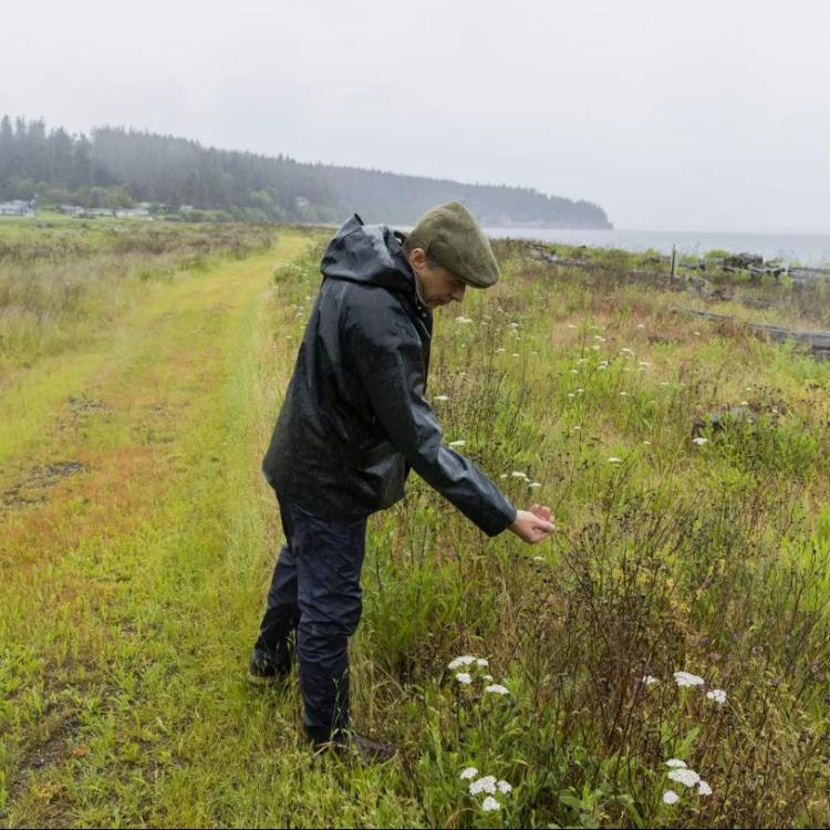 Eric Mader, co-director of the Xerces Society’s Pollinator Program, walks along the water on Whidbey Island through a pollinator meadow he co-owns.  photo: Daniel Kim / The Seattle Times