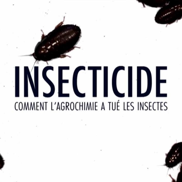 TItle image: Insecticide, Comment L'Agrochime a tue les insectes