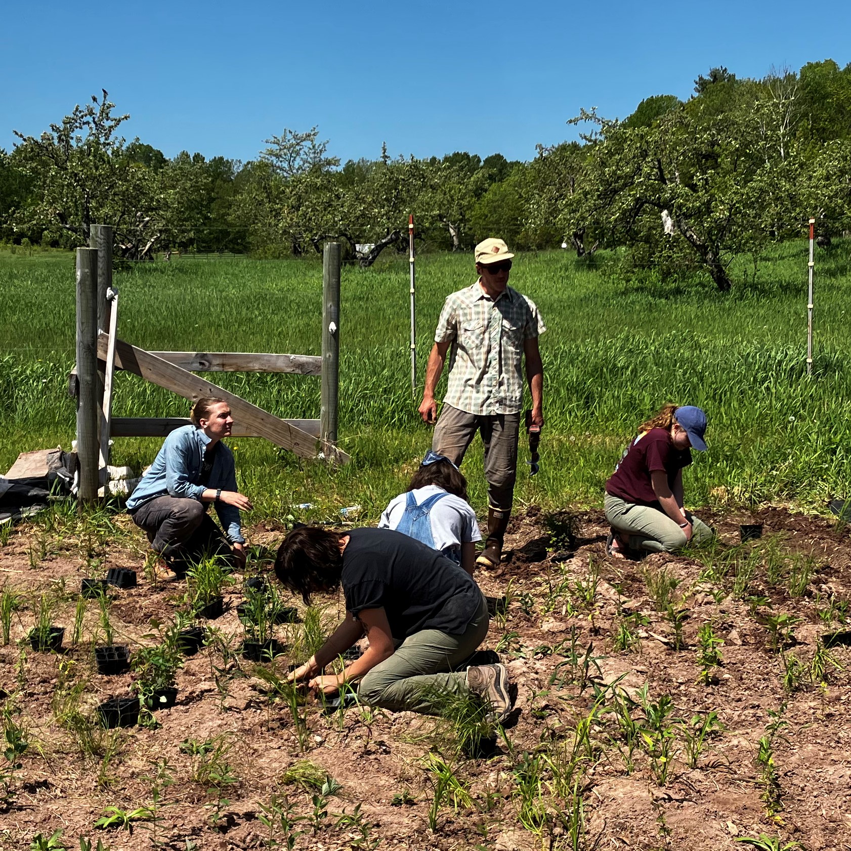 People planting pollinator habitat in Wisconsin