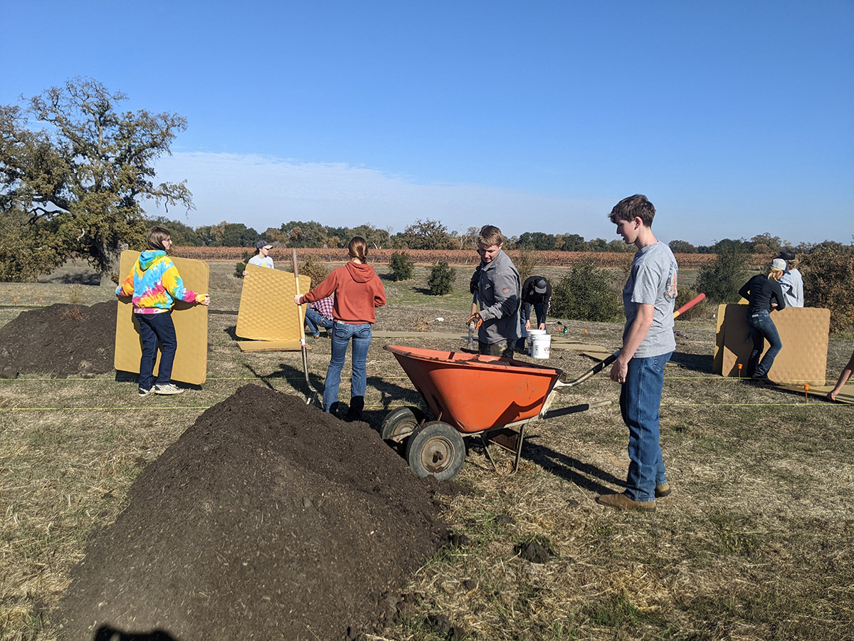 Volunteers carry cardboard sheets and haul compost from a pile with a wheelbarrow