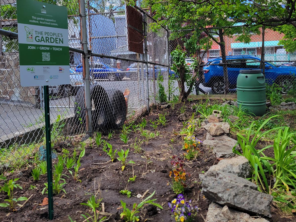 Beautiful garden in a city lot