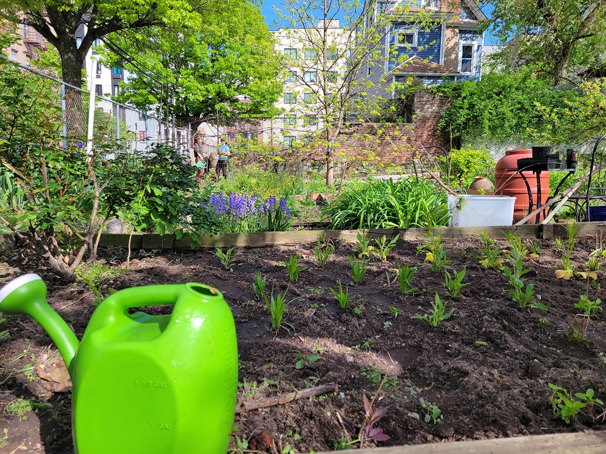 Community garden and volunteers within, surrounded by city buildings 
