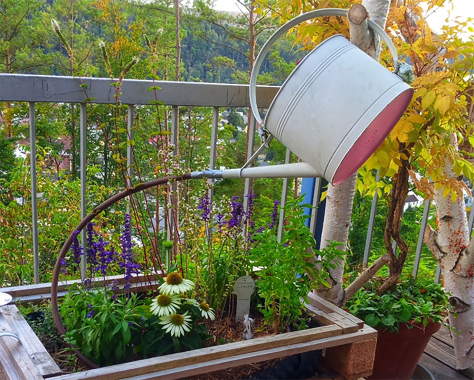 Hanging watering can with hose attached to its spout running into the dirt of the balcony container garden underneath