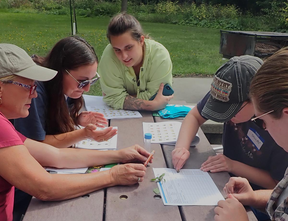 Several volunteers sitting at a picnic table outside with printed training materials and a few live bees