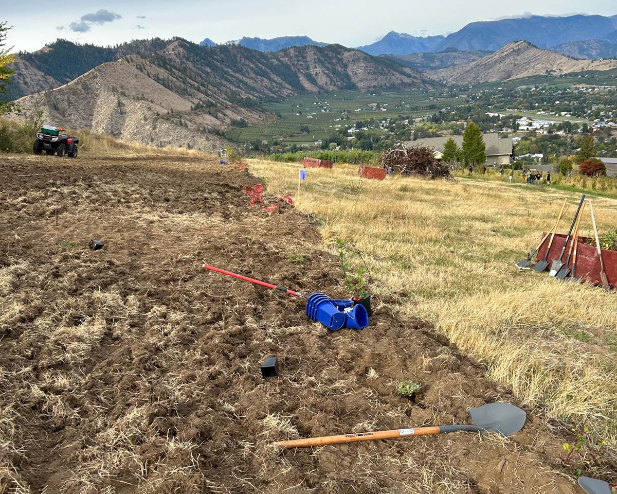 Tilled soil on the hillside, with shovels and other tools sitting around, and apple bins full of potted plants ready to be planted. 