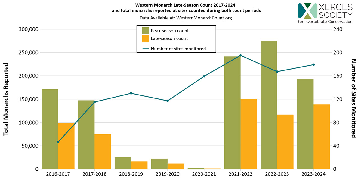 A graph showing the seasonal decreases in western monarchs counted at overwintering sites, and the number of sites monitored, from 2016 to 2024.