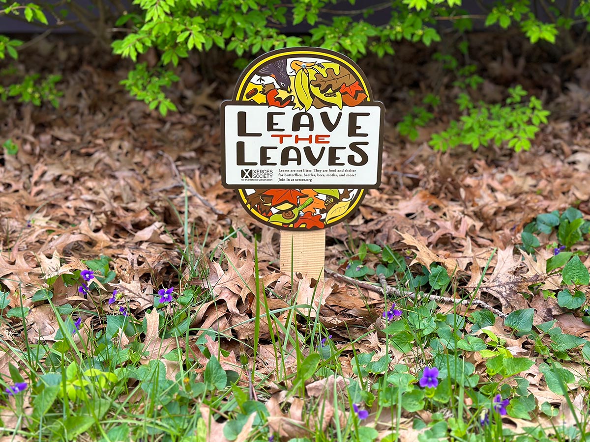 Leaves in a garden bed with a "leave the leaves" sign in the ground