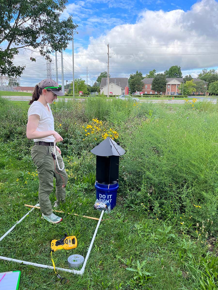 A white woman standing in a wildflower field, next to a set of equipment for collecting moths and surveying plant species. In the background, a road and houses show that this is in an urban setting. 