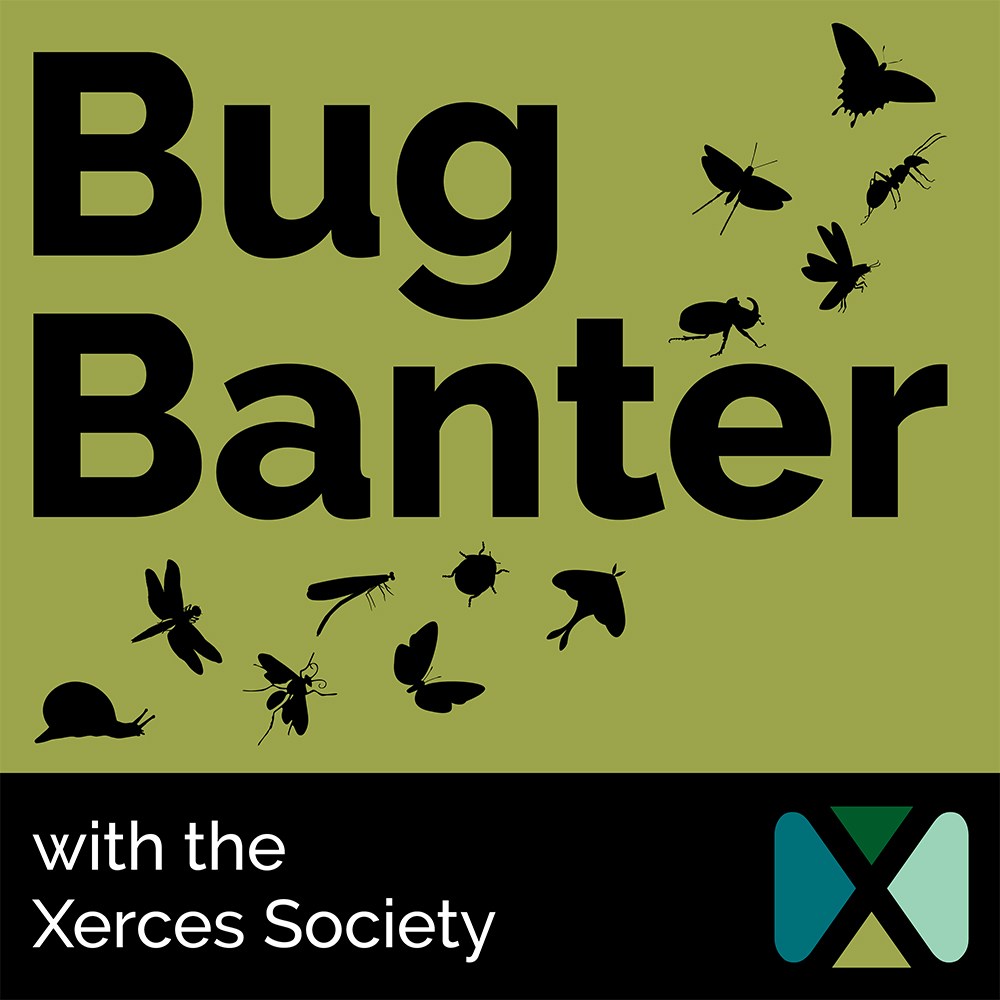 Bug Banter podcast cover art featuring insect silhouettes and the Xerces Society logo