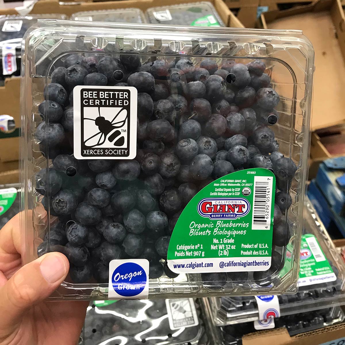 A plastic container of blueberries at a grocery store. The packaging is labeled with the Bee Better Certified seal. 
