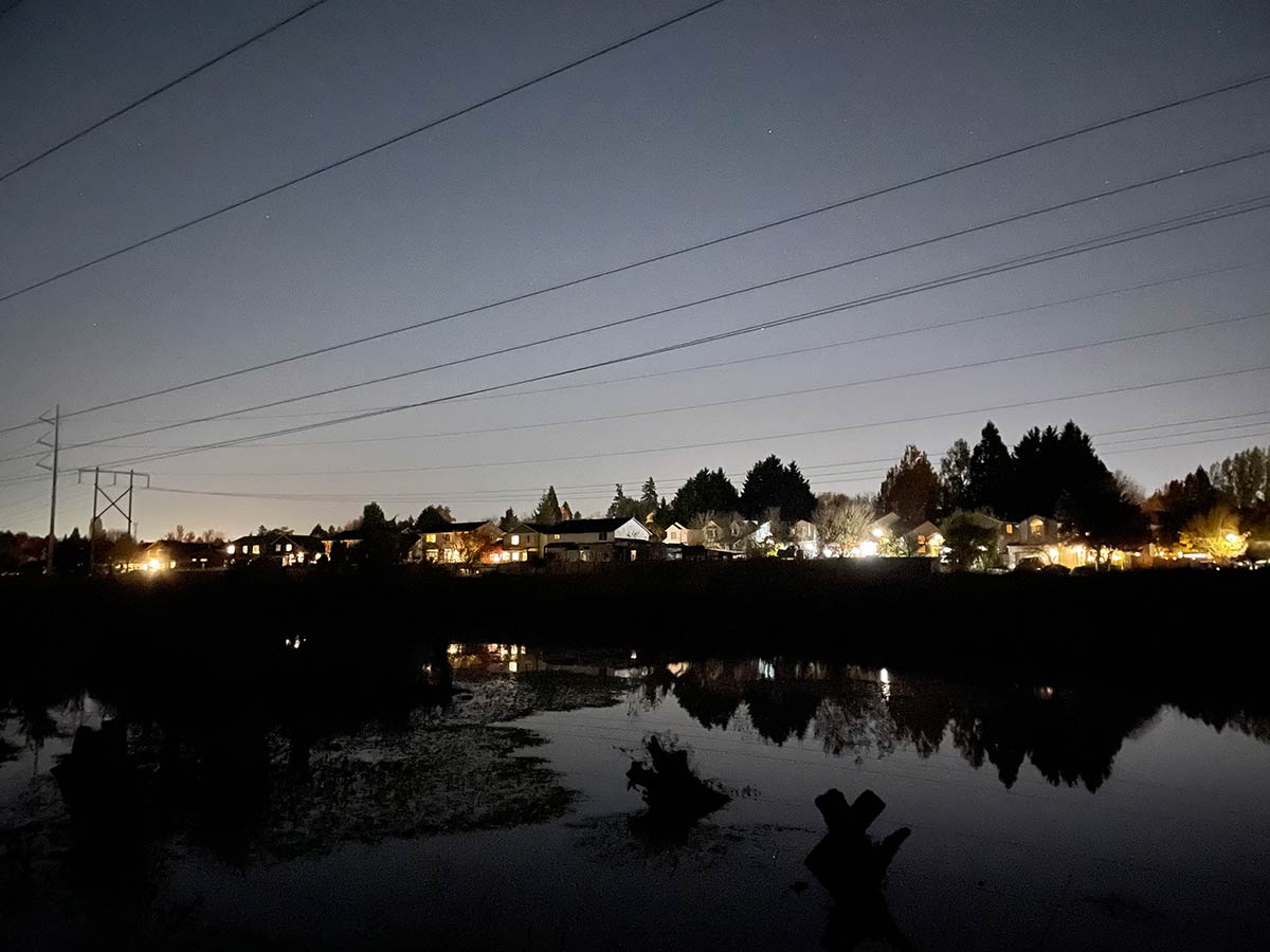 Looking from a wetland and natural area in a park out into the surrounding streets. Many of the houses have unnecessary lighting in their backyards that throw light far into the wetlands. Instead of darkness, the sky behind the lights is a bright grey, blocking out all but the brightest stars, which are just barely visible. 