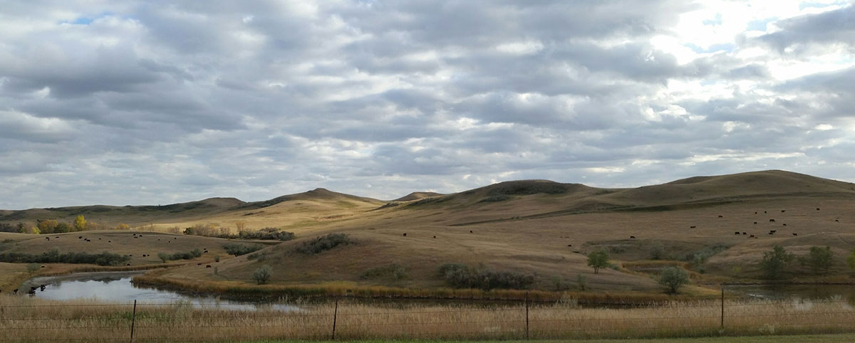 A hilly grassland alongside a small river. A fence in the foreground is a hint that this a rangeland for livestock.