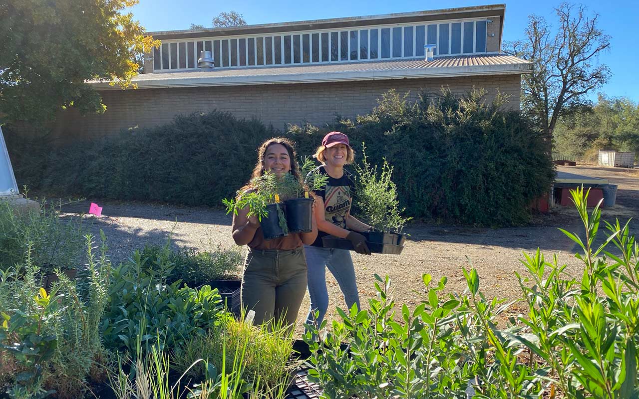 Two friends at a plant nursery, each carrying a few potted plants back to their car.