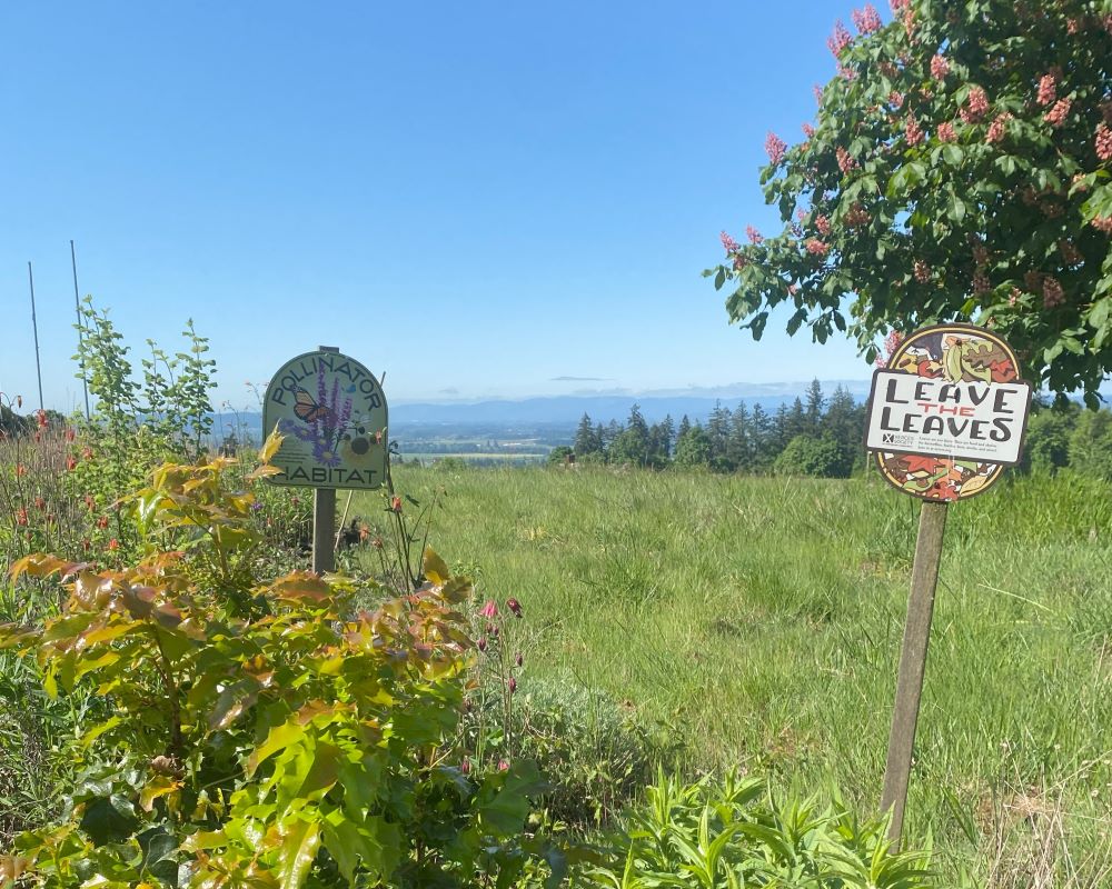 Habitat at Winter’s Hill Estate marked by Xerces Society "pollinator habitat" and "leave the leaves" signs