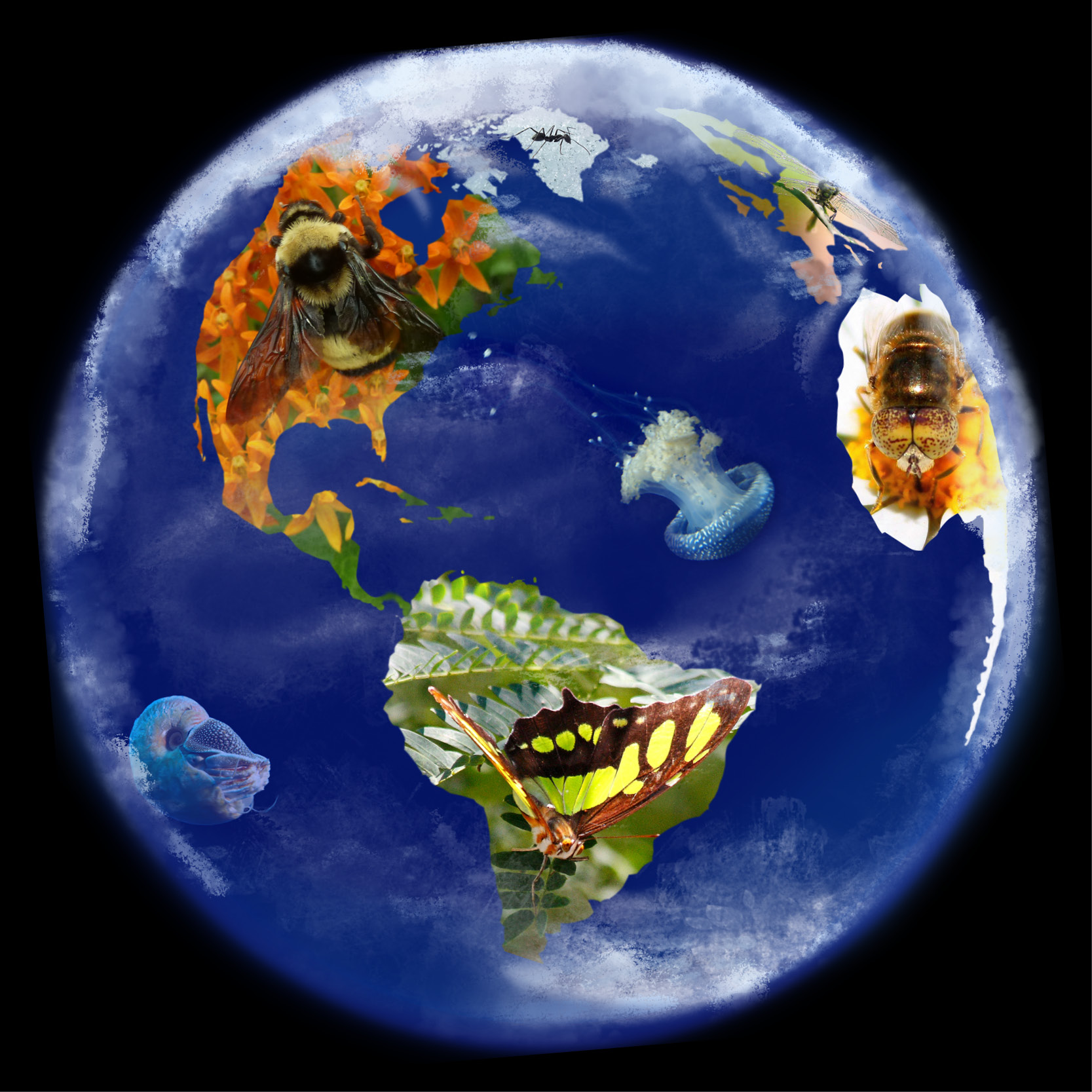 A globe with images of invertebrates, including a bumble bee on North America, and a butterfly on South America, that are photoshopped into the continents and oceans.