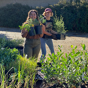 People carrying plant starts that are in plastic nursery pots