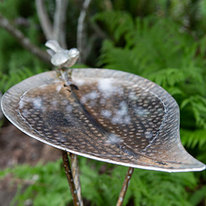 A clean bird bath, indicating active management of standing water to prevent mosquitoes from completing their life cycle in standing dirty water