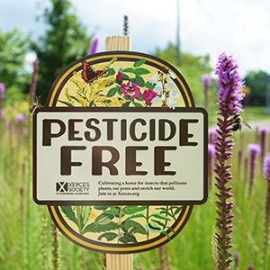 A Xerces Society pesticide free sign in front of blooming habitat 