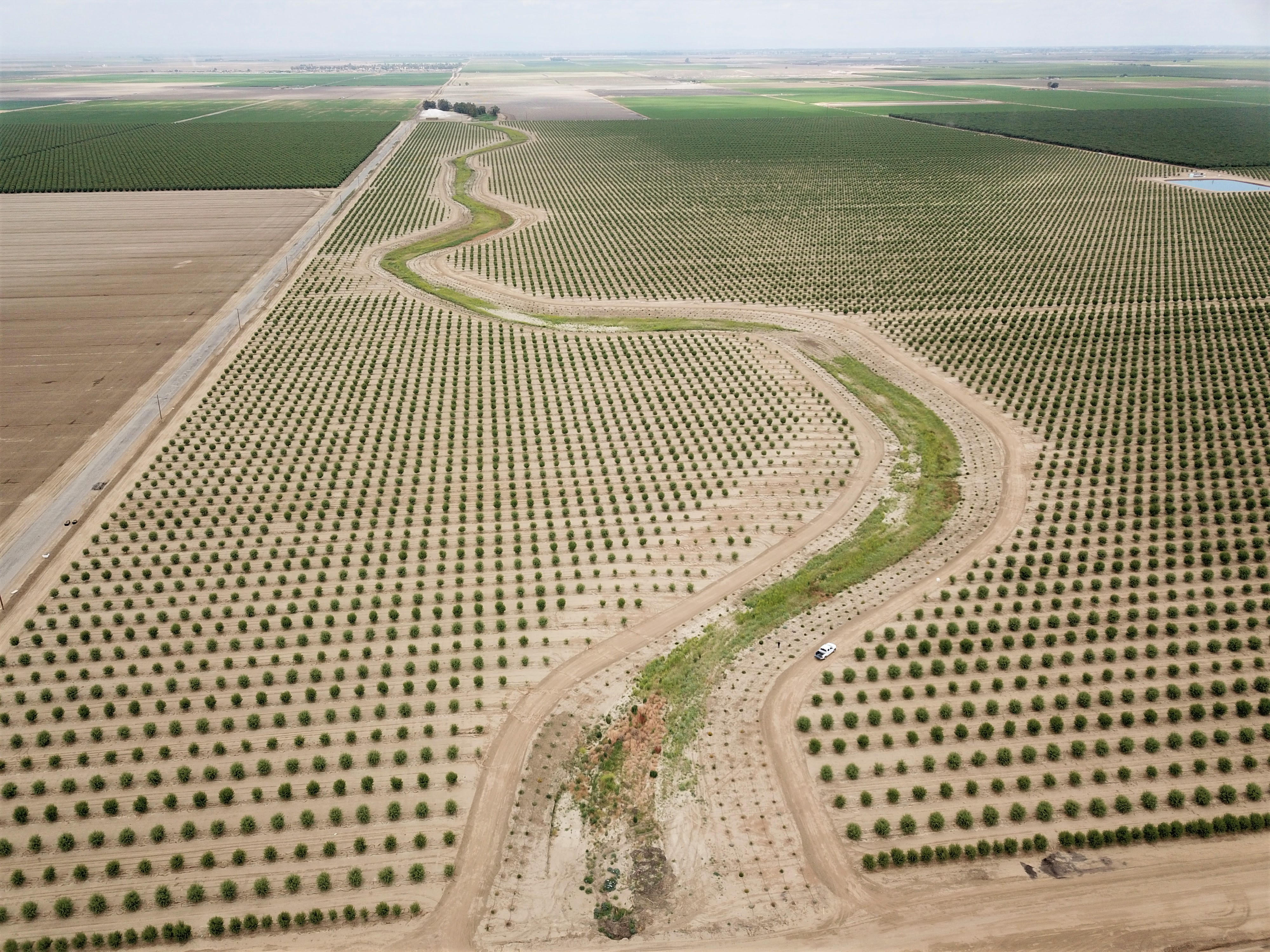 A landscape-scale aerial photo of California's Central Valley with pollinator meadows and hedgerows among sparse almond fields.