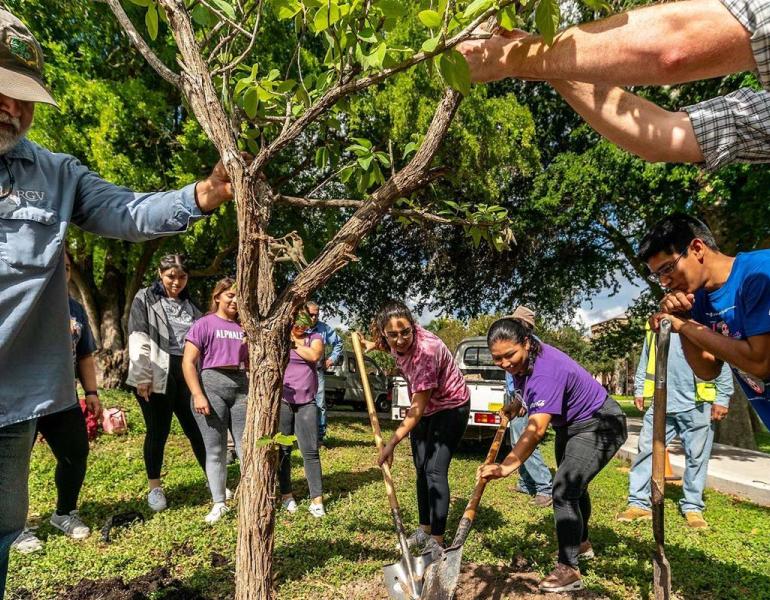 Several people gathered together to plant a tree. One holds the tree steady while others shovel in dirt around it.