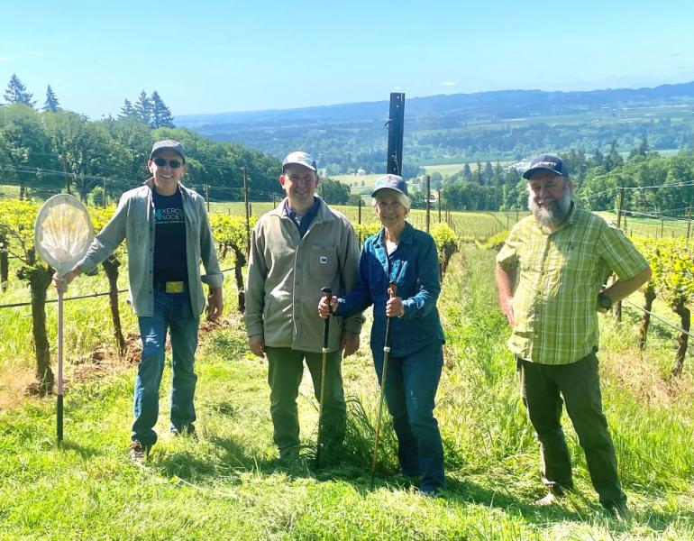 3 men and a women with butterfly nets and hiking poles smile in a vineyard