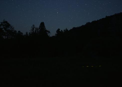 Fireflies flashing in the Nevada night 