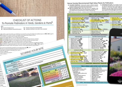 This graphic depicts a Checklist of Actions to Promote Pollinators in Yards, Gardens, and Parks; a score sheet for your site; a plant list; and a phone displaying a photo of some flowering habitat in front of a small house.