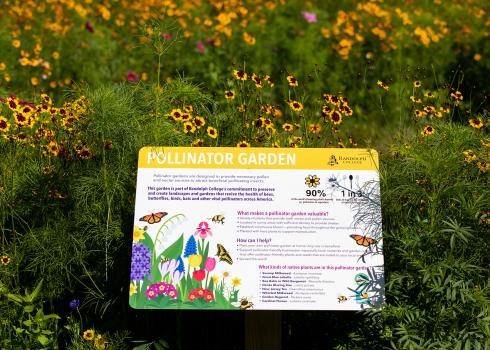 A pollinator garden full of yellow-and-red and pink flowers. In the center is a sign that says "Pollinator Garden" and has colorful illustrations of flowers, butterflies, and bees.