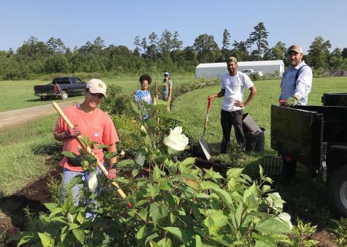 A small group of young men and women work with shovels and other tools to care for a hedgerow