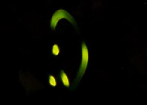 Loopy five firefly flash pattern, with 2 semi-circular flashes and 3 short blips forming a circle 