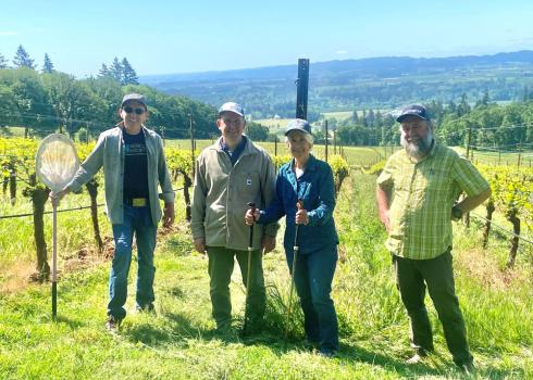 3 men and a women with butterfly nets and hiking poles smile in a vineyard