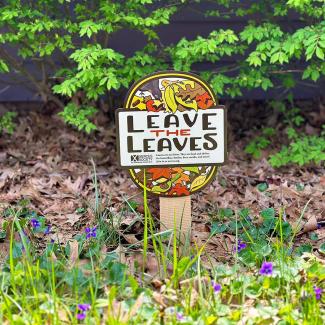 A sign reads "Leave the Leaves" surrounded by violets, leaf litter, and shrubbery