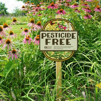 A “Pesticide Free” yard sign stands among tall grasses and blooming purple coneflowers in a lush pollinator garden on a sunny day