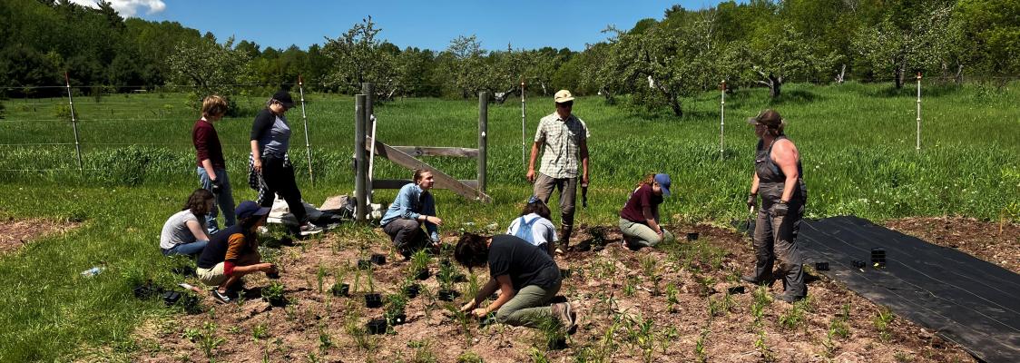Pollinator habitat planting 2022, Mino Bimaadiziiwin Farm in Bayfield, WI, by Micah Kloppenburg